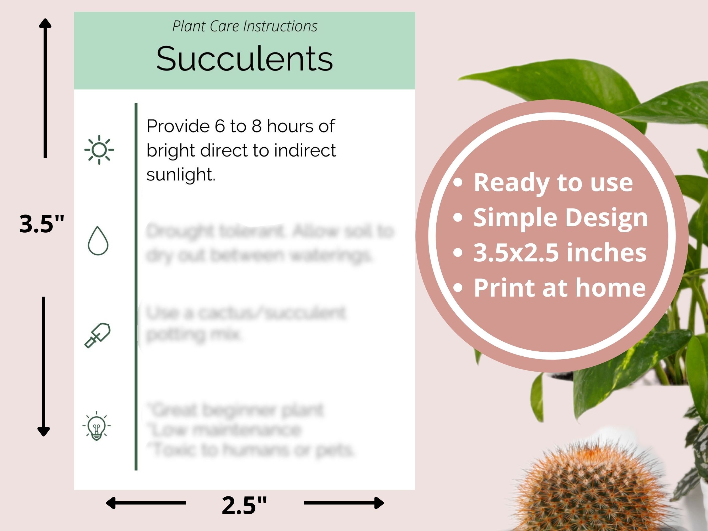 PRINTABLE Succulent Care Card Simple Plant Care Card Plant Care Card ...
