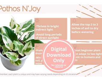 DIGITAL Pothos N'Joy Plant Care Card | Digital Download Only | Printable Plant Care Card | Digital Houseplant Care Card/