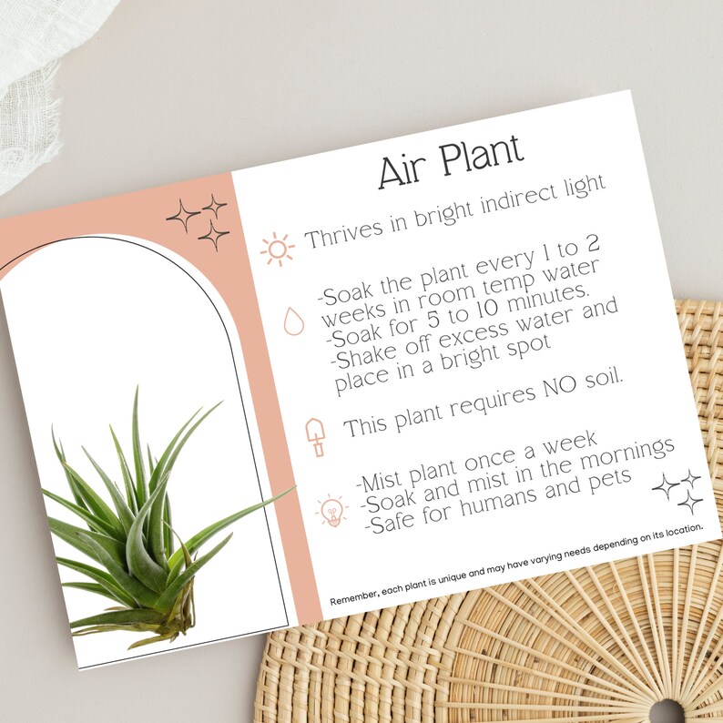 Air Plant Care Instruction Printable Instant Download Plant Care Card ...