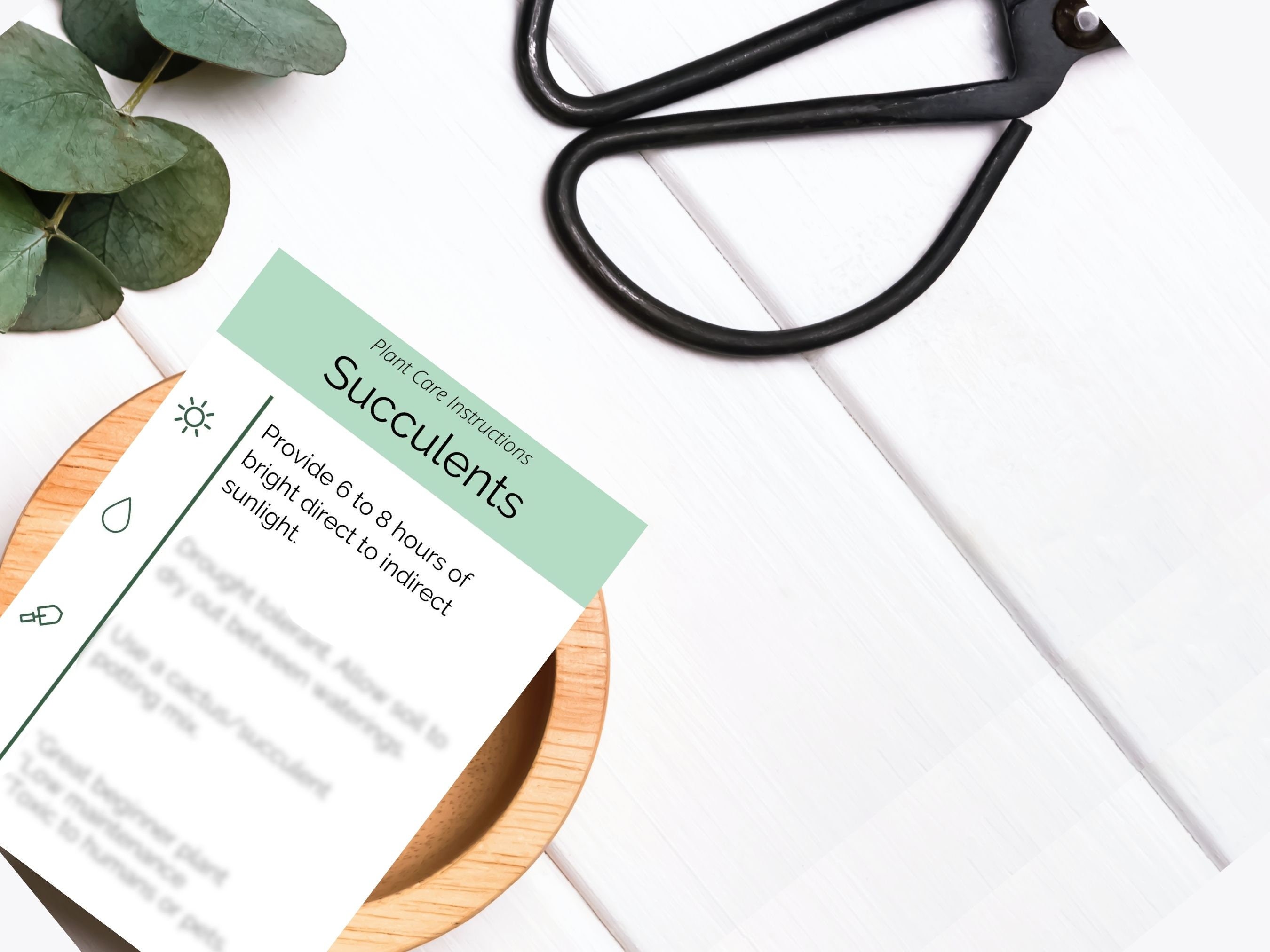 PRINTABLE Succulent Care Card Simple Plant Care Card Plant Care Card ...