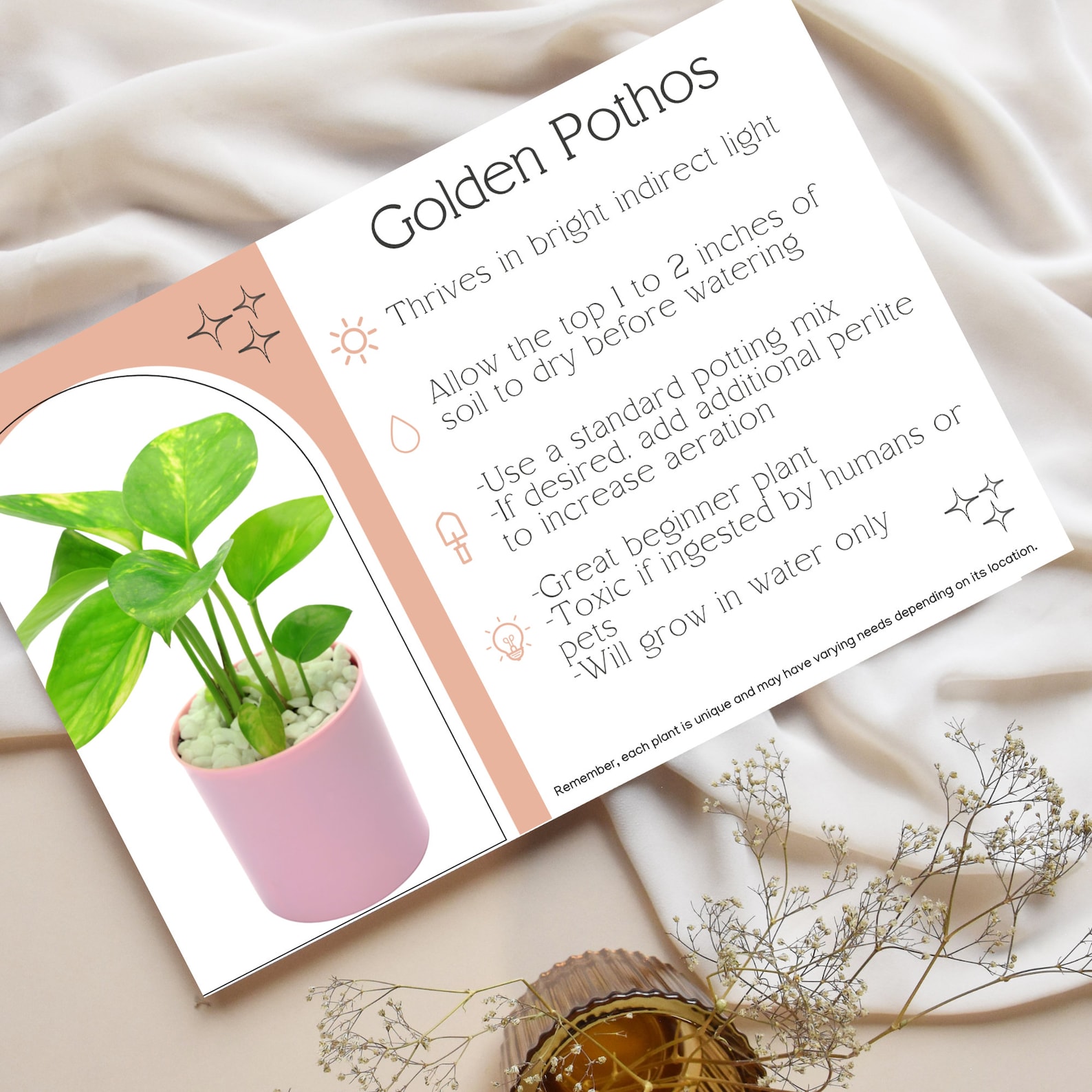 Golden Pothos Care Guide - Printable Indoor Plant Care Instructions ...