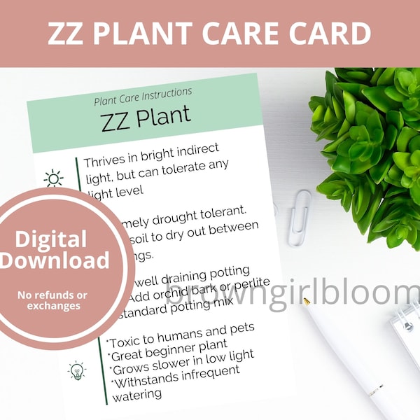 PRINTABLE ZZ Plant Care Card | Simple Zamioculcas zamiifolia Care Card | Plant Care Card for Small Business | Minimalist ZZ Plant Care Card