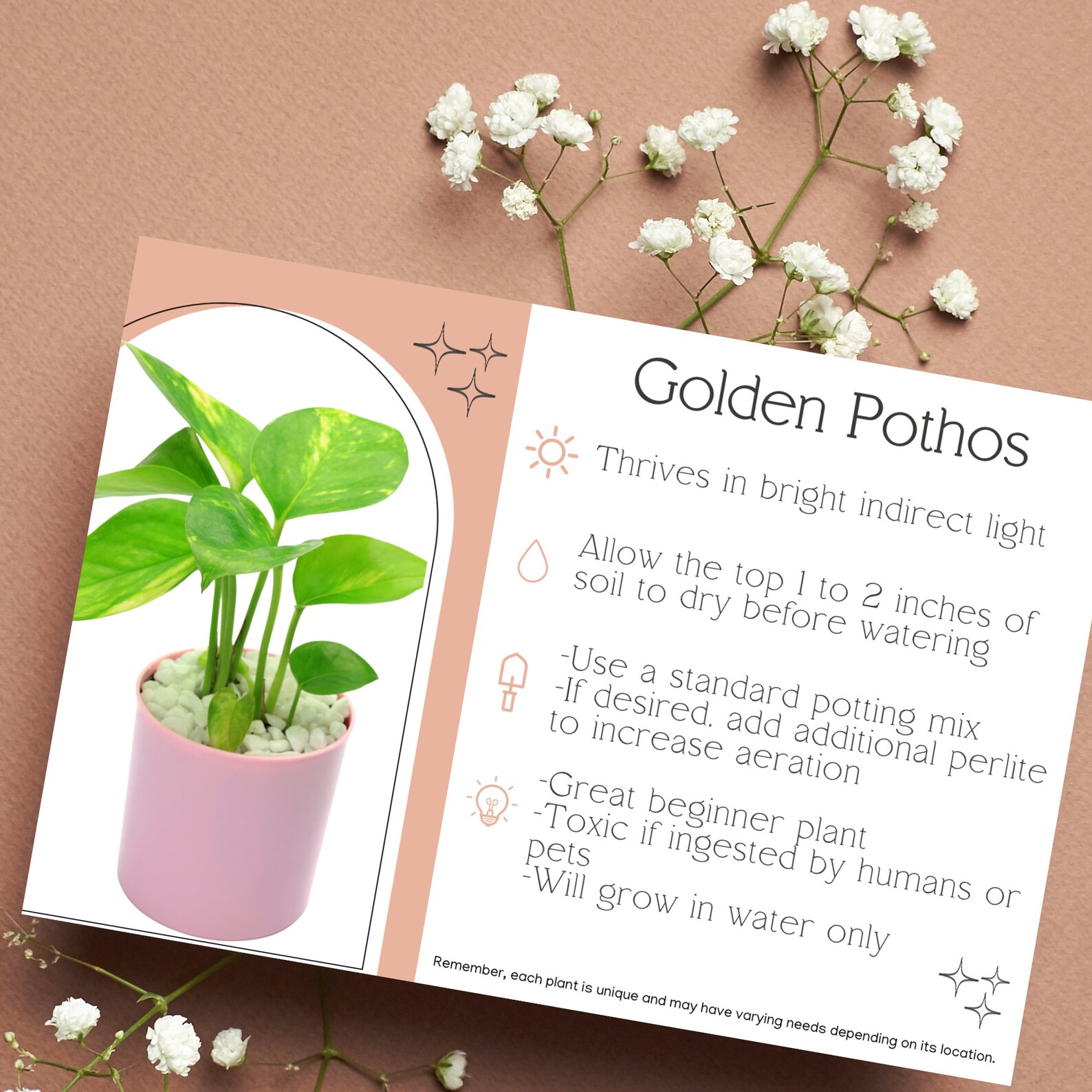Golden Pothos Care Guide Printable Indoor Plant Care Instructions ...