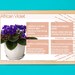 PRINTABLE African Violet Plant Care Card African Violet Care Tips ...
