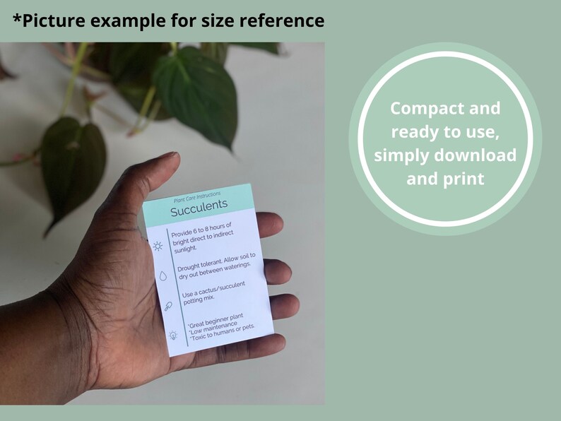 PRINTABLE Succulent Care Card Simple Plant Care Card Plant Care Card ...