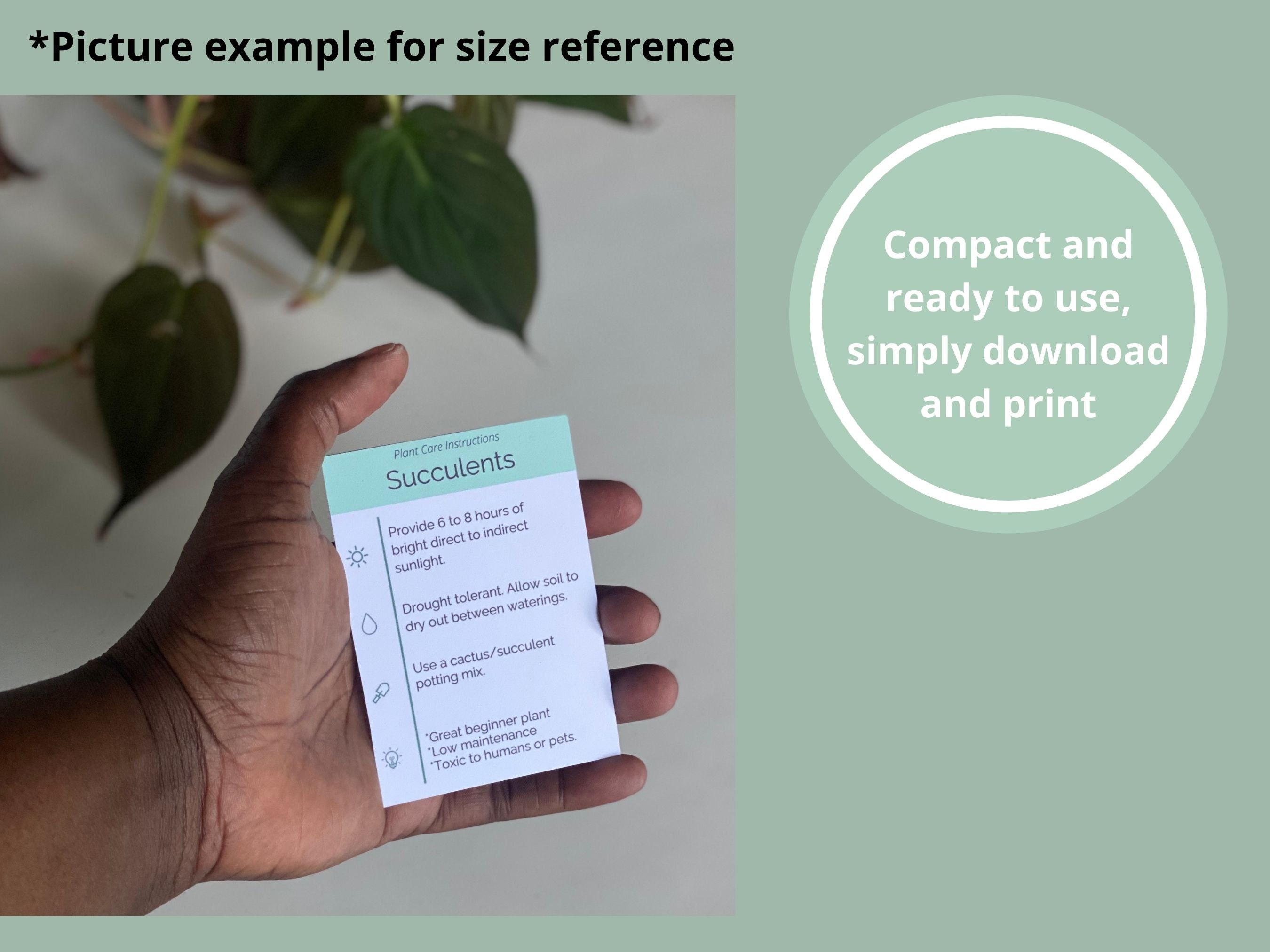 PRINTABLE Succulent Care Card Simple Plant Care Card Plant Care Card ...