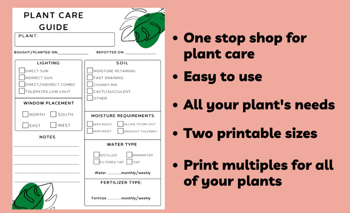 Plant Care Guide/houseplant Care Guide/plant Care Sheet/houseplant Care