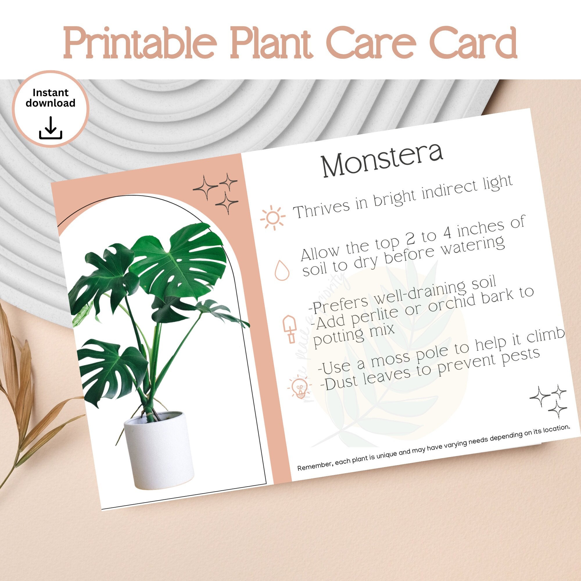 Monstera Plant Care Instruction Printable - Instant Digital Download ...