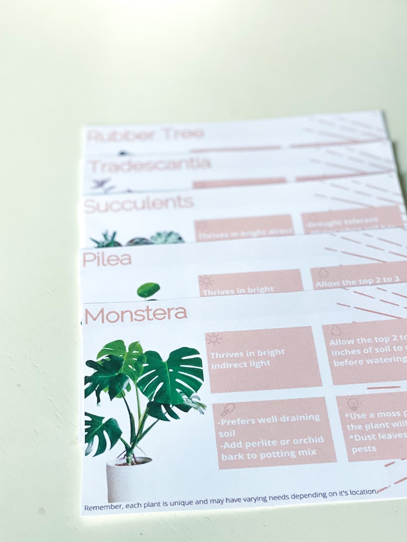 PRINTABLE African Violet Plant Care Card | African Violet Care Tips ...