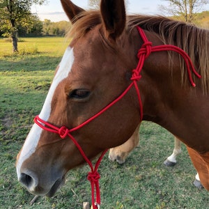Stiff Rope 2-knot or 4-knot Horse Halters