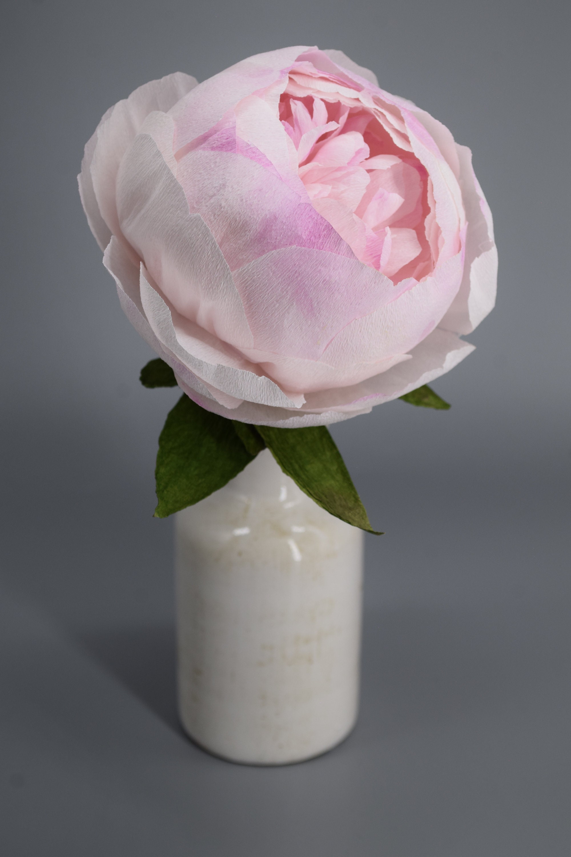 Light Baby Pink Half-bloomed Peony - Etsy UK