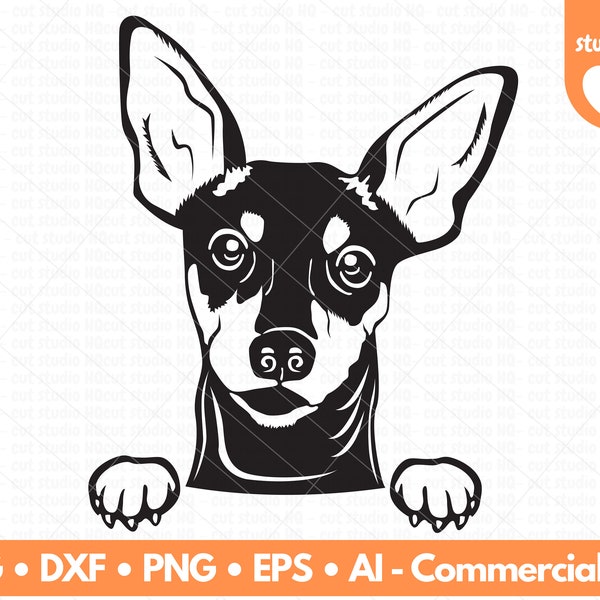 Miniature pinscher SVG, Miniature pinscher Png, Miniature pinscher Dxf, Miniature pinscher Eps, Miniature pinscher vector file, Cricut