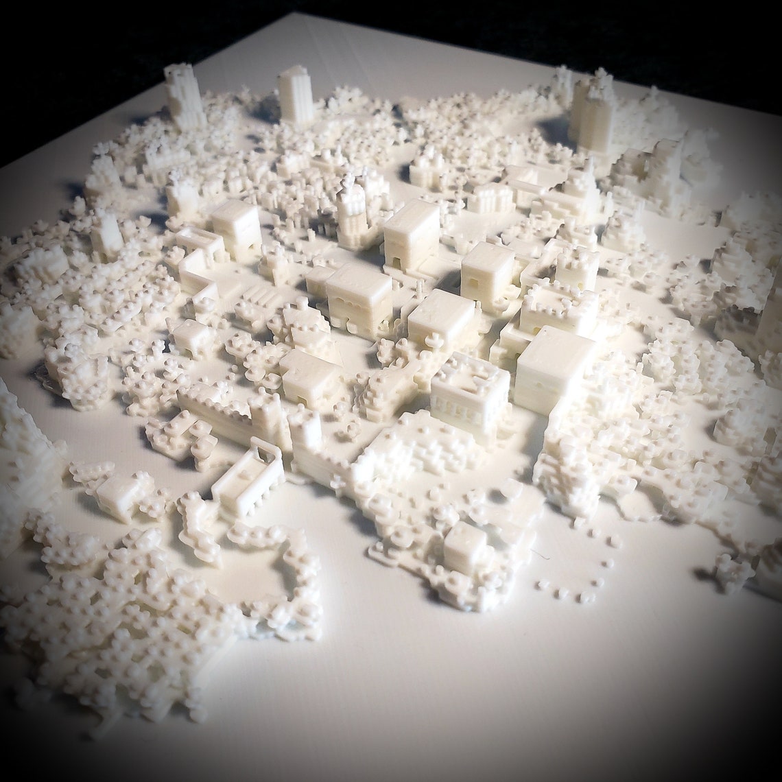 Rookgaard 3D Map Tibia - Etsy