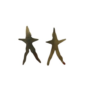 Star Earrings