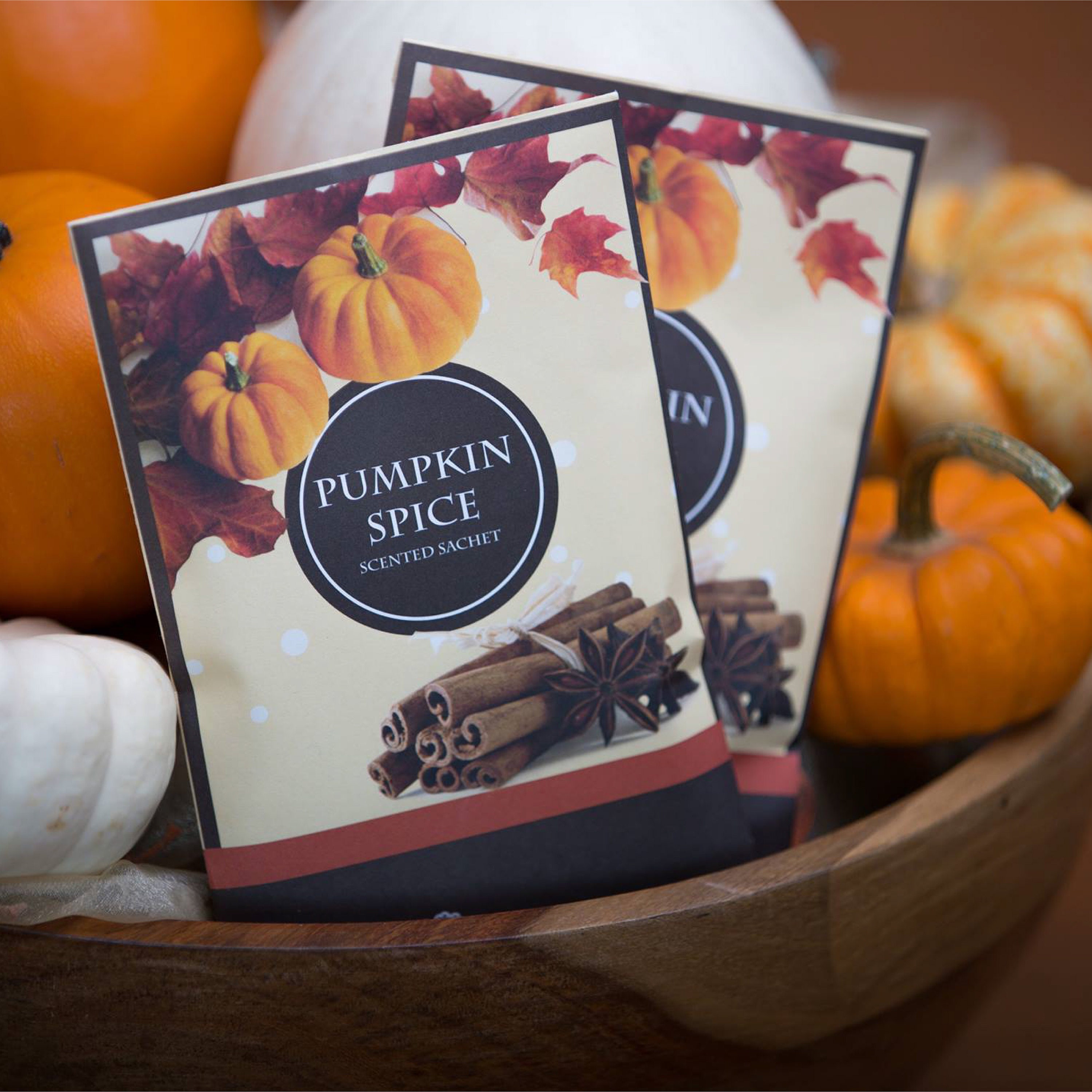 Pumpkin Spice Scented Sachets 6pk Etsy UK