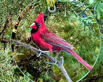 May include: A red cardinal bird ornament with a clear glass background. The ornament is hanging from a tree branch.