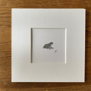 May include: A black and white pen and ink drawing of a frog, framed in a white mount.