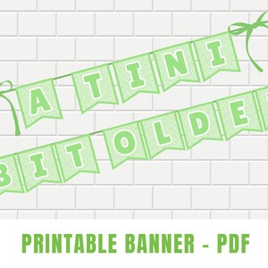 Printable Tini Bit Older Baner | Instant Download, Martini Themed Birthday Party Decorations and Signs | 'A Tini Bit Older' | Dirty Martini