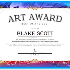 Prêmio de Arte, Certificado de Arte, Melhor Arte, Prêmio Melhor dos Melhores, Certificado, Fácil de Editar, Prêmio para Impressão