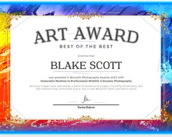 Art Award, Art Certificate, Best Art, Best of the Best Award, Certificate, Easy to Edit, Printable Award
