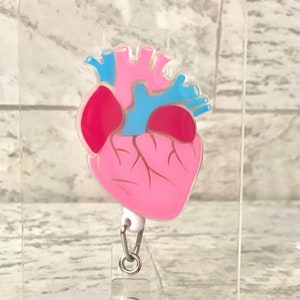Cardio-badgereel, hart-badgereel, anatomische hart-badgereel, Cardioverpleegkundige-badgereel, Cardioloog-badgereel
