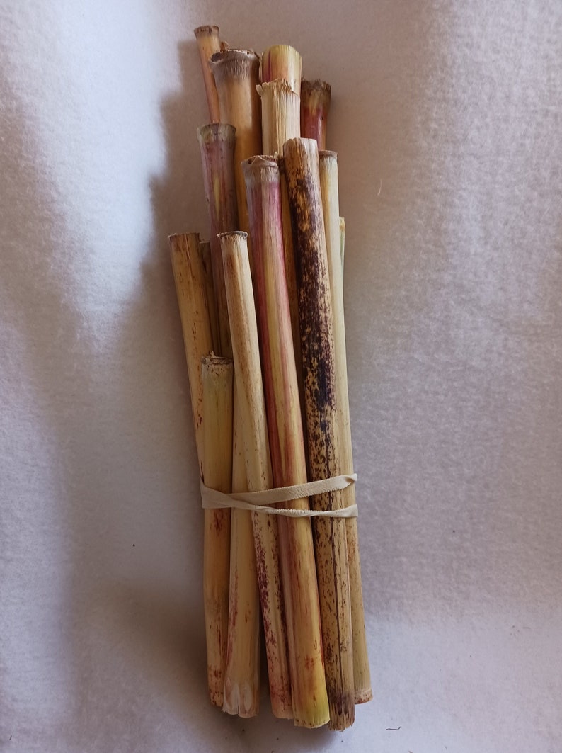 Broom Corn Stalks for Weaving/crafting - Etsy
