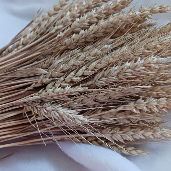 Wheat Sheaves Etsy