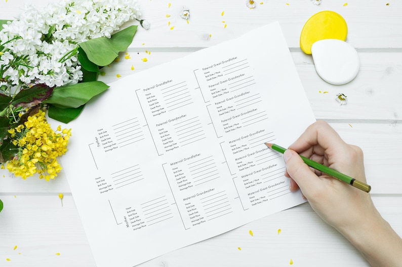 Op de afbeelding: Een printbare stamboom met ruimte om namen, geboortedata, overlijdensdata en huwelijkslocaties in te vullen. De stamboom is verdeeld in secties voor de vaderlijke en moederlijke lijn, inclusief overgrootouders, grootouders en ouders.