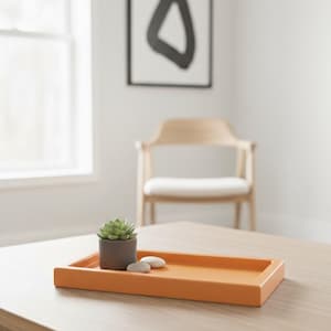 May include: An orange rectangular tray on a wooden table holds a small potted succulent and two smooth white stones. A framed abstract black and white artwork hangs on the wall, with a wooden chair in the background.