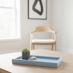 May include: A light blue rectangular tray holds a small potted succulent and two smooth stones. The tray sits on a wooden table, with a chair and abstract art in the background. The room is brightly lit with natural light.