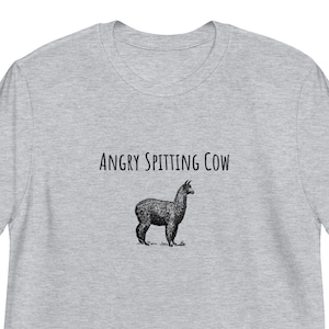 Lama T-Shirt, Lama, lustiges Lama-T-Shirt, sarkastisches T-Shirt
