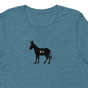 May include: A teal blue t-shirt with a black silhouette of a donkey with the word "WISE" written on its side.