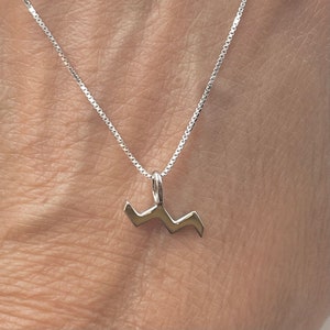 Sterling Silver Aquarius Zodiac Sign Necklace: Dainty Astrology Pendant