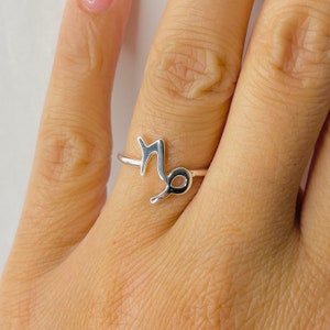 Zierlicher Steinbock Sterling Silber Ring: Sternzeichen Astrologie Schmuck