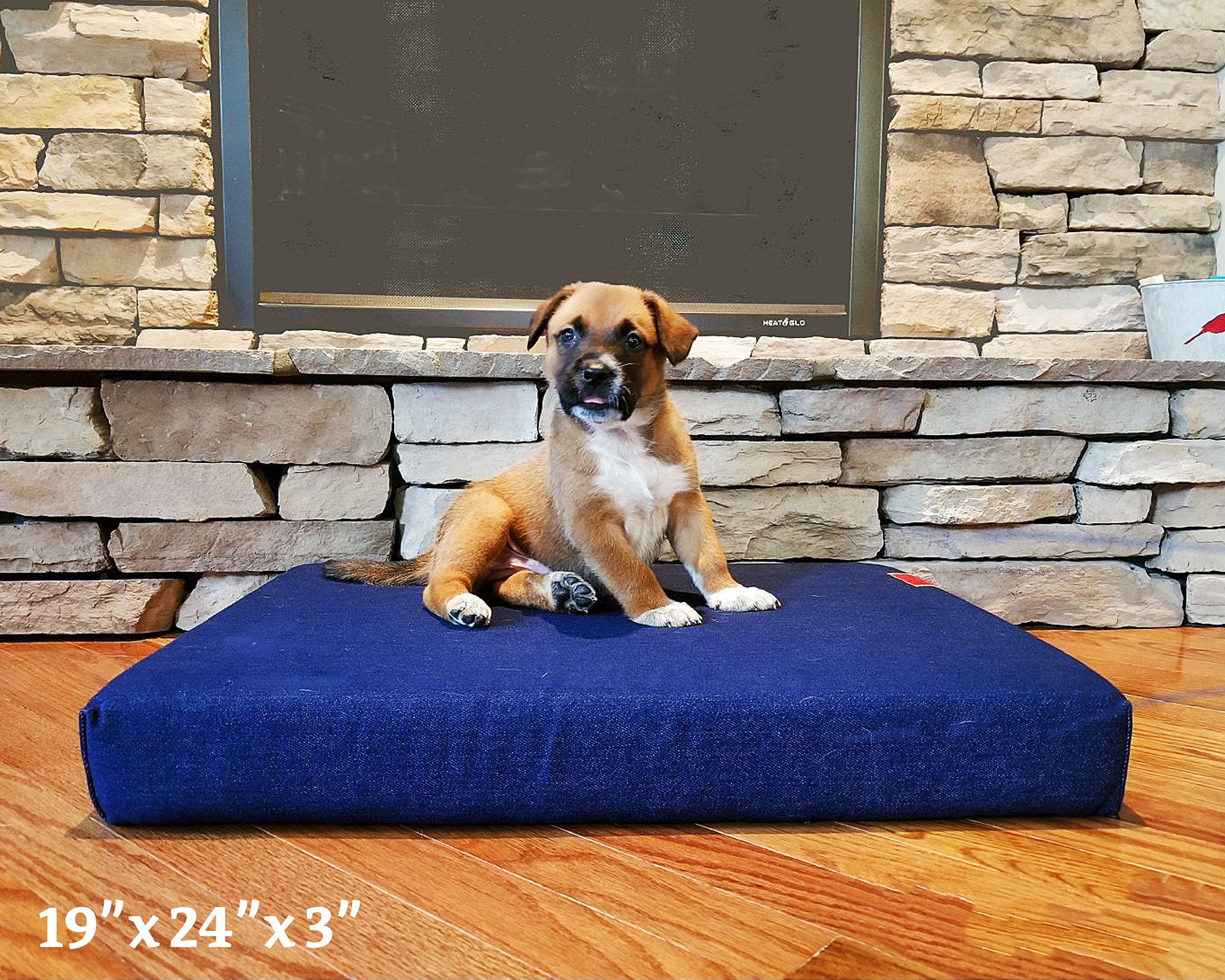Therapeutic Pet Beds Human Grade Memory Foam Support Etsy UK