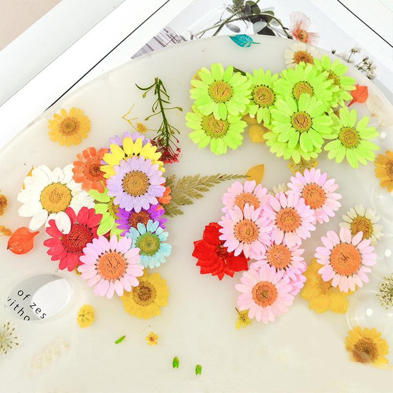 Natural Daisy resin molds Dried Flowers For Resin Mold Dry Etsy