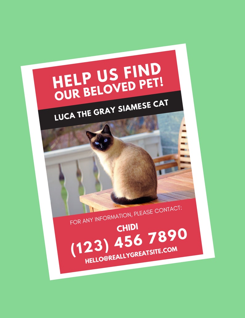 editable-missing-cat-flyer-and-poster-template-printable-lost-etsy