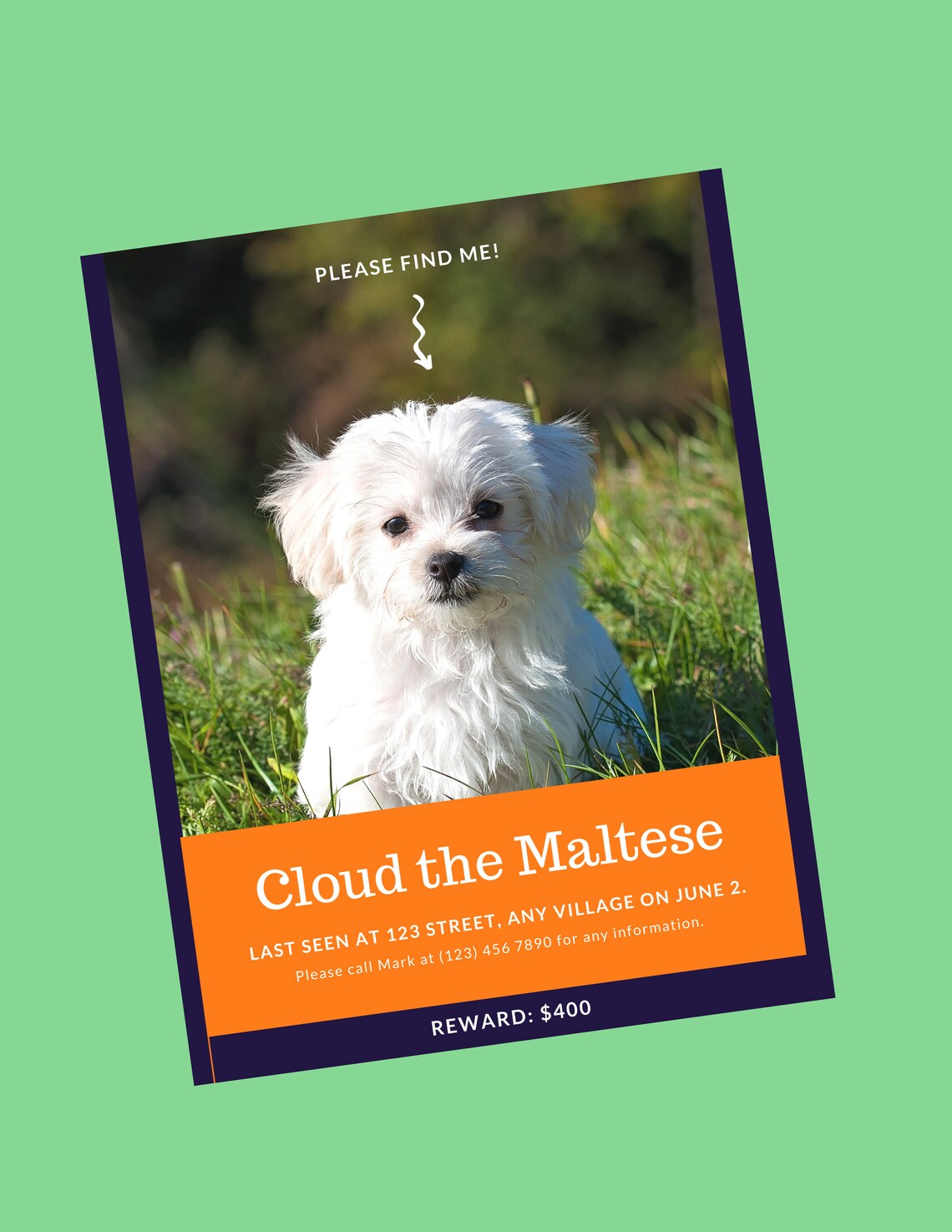 Lost Dog Flyer Template