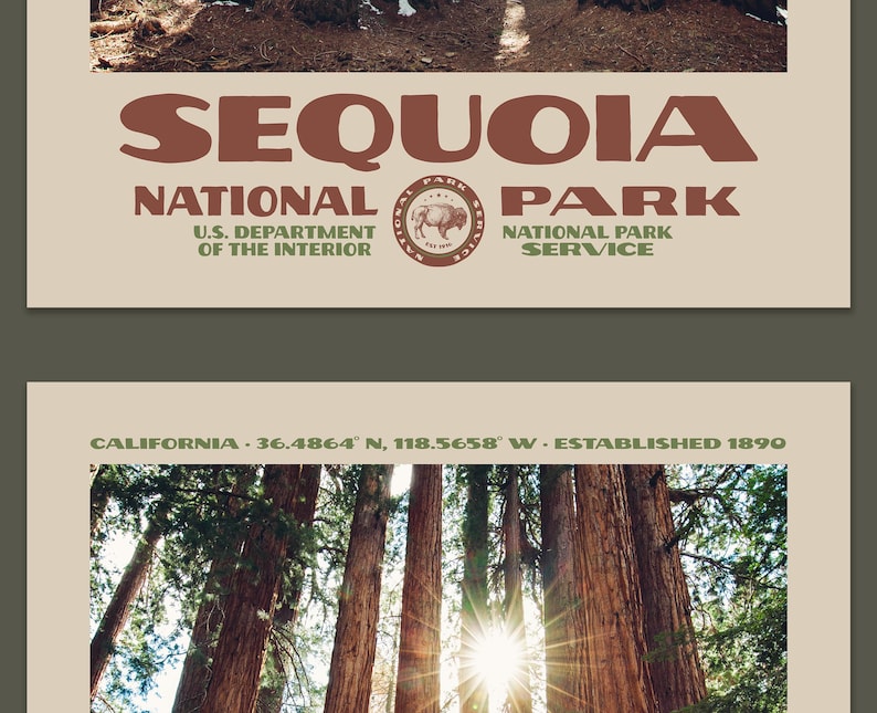 Puede incluir: Un p&oacute;ster con el texto "SEQUOIA NATIONAL PARK" en marr&oacute;n. Presenta el sello del Departamento del Interior de EE. UU. y el logotipo del Servicio de Parques Nacionales. La parte inferior muestra una escena de bosque con luz solar y texto.