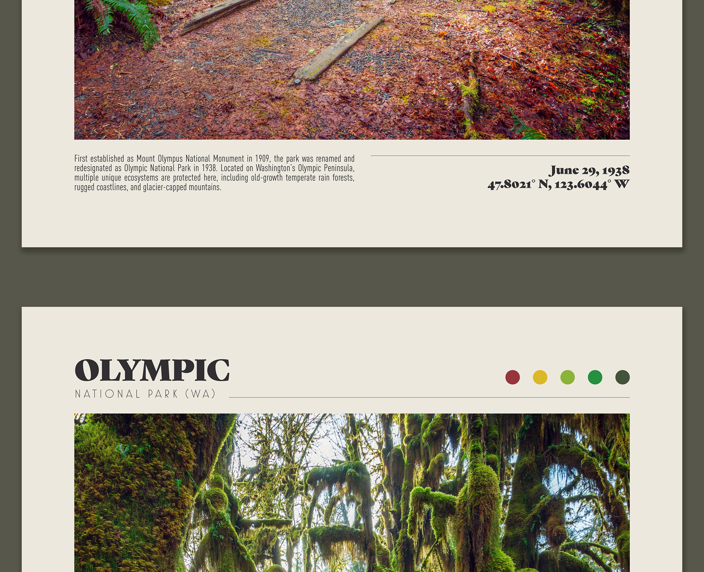 Olympic National Park Poster - Etsy