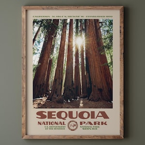 Puede incluir: Un p&oacute;ster enmarcado con una vista panor&aacute;mica del Parque Nacional de las Secuoyas. La imagen muestra imponentes secuoyas con la luz del sol que atraviesa el dosel. El p&oacute;ster incluye el texto "SEQUOIA NATIONAL PARK" y "U.S. DEPARTMENT OF THE INTERIOR".