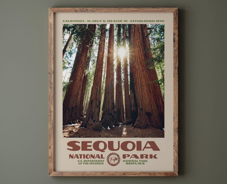 Puede incluir: Un p&oacute;ster enmarcado con una vista panor&aacute;mica del Parque Nacional de las Secuoyas. La imagen muestra imponentes secuoyas con la luz del sol que atraviesa el dosel. El p&oacute;ster incluye el texto "SEQUOIA NATIONAL PARK" y "U.S. DEPARTMENT OF THE INTERIOR".