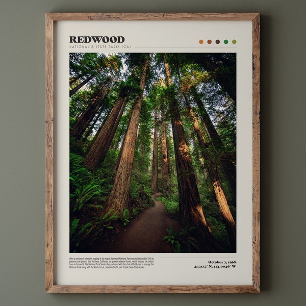 Redwood National Park Poster • Premium Kwaliteit Fine Art Print • Matte Afwerking • Modern Home Decor • Natuur Landschap Fotografie