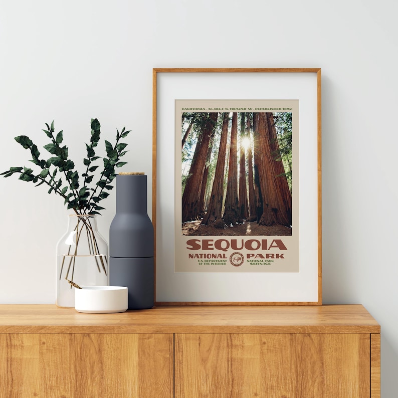 Puede incluir: Un p&oacute;ster enmarcado con una fotograf&iacute;a de imponentes secuoyas en el Parque Nacional de las Secuoyas. El p&oacute;ster tiene un dise&ntilde;o vintage con el nombre y el logotipo del parque en marr&oacute;n y crema. La imagen se muestra en un mueble de madera.
