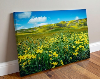 Carrizo Plain Spring Wildflowers Print / Canvas • CA Superbloom • Nature Landscape Photography Fine Art • Original Art by Nate Dunlap