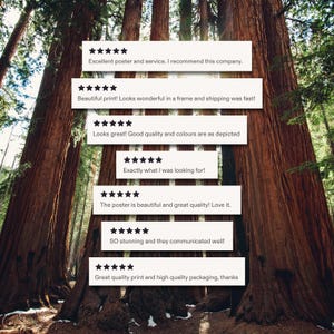 May include: A scenic photograph of towering redwood trees in a forest setting. White rectangular blocks with black star ratings and customer reviews are overlaid on the image. The reviews praise the poster's quality and service.