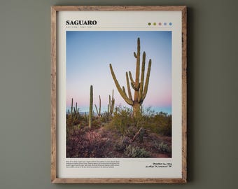Saguaro National Park Poster • Tucson, AZ • Saguaro Cactus • Premium Quality Fine Art Print • Home Decor • Desert Landscape Photography