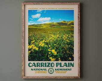 Carrizo Plain National Monument Poster • Retro NPS Print • Wildflowers Photography Fine Art • National Park Design • California Superbloom
