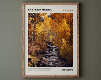 Eastern Sierra Bishop Creek Poster • Aspen Trees • Fall Colors Photo • Premium Quality Fine Art Print • Nature Landscape Photography