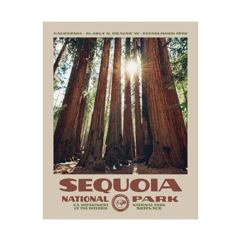 Póster del Parque Nacional Sequoia • Lámina retro del Servicio de Parques Nacionales • Fotografía artística de naturaleza • Decoración del hogar • Diseño vintage de parques nacionales • Árboles gigantes imagen 11